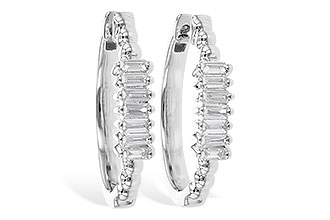 H328-05068: EARR .20 TW BAGUETTES