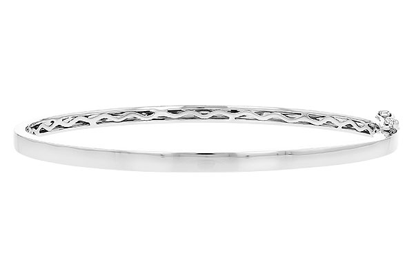H328-08650: BANGLE (D244-41405 W/ CHANNEL FILLED IN & NO DIA)
